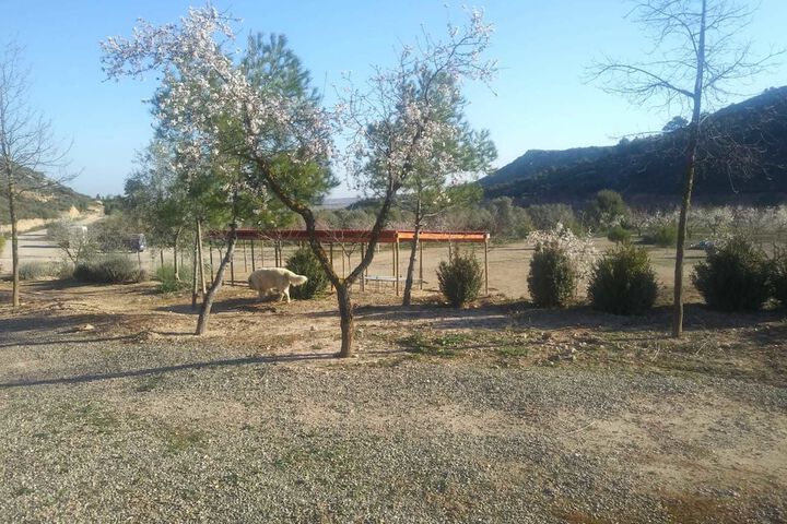 Property Grounds 45 of 52