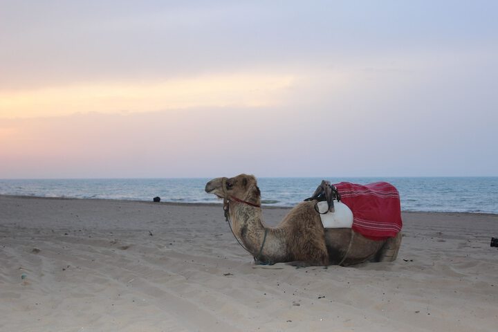 Ecotours