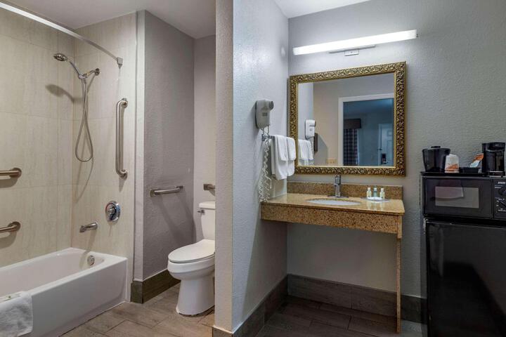 1 King Bed Accessible (8 of 8)
