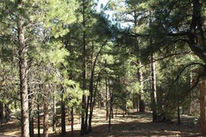 Property Grounds 18 of 19