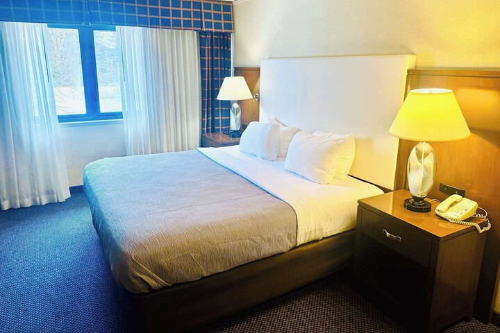 1 King Bed (4 of 7)