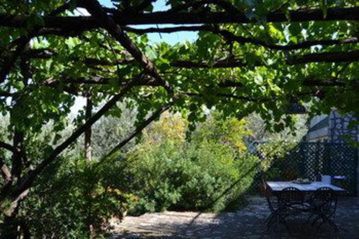 Terrace/Patio 31 of 34