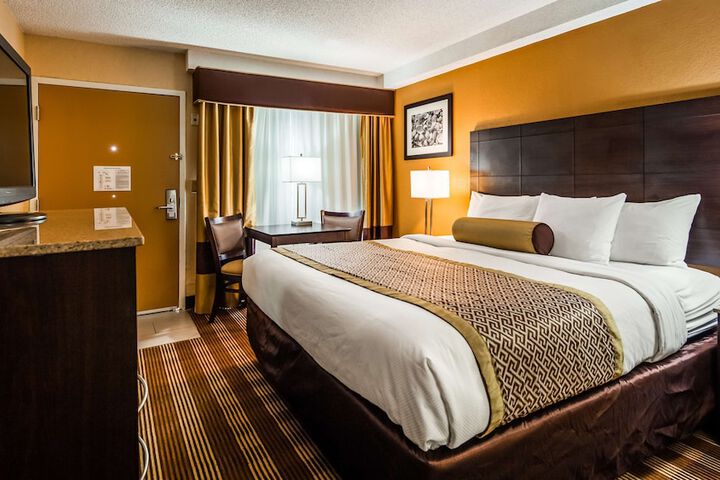 Standard King Bed Pet Friendly Accessible (10 of 13)