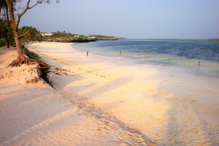 Beach 20 of 21