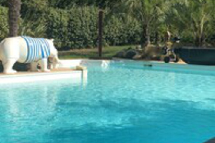 Pool 66 of 102