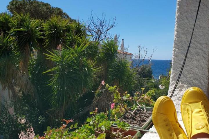 General 25 of 41
