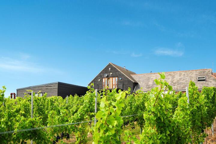 Exterior of Mersea Island Vineyard