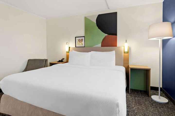1 King Bed (2 of 10)