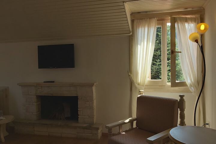 Room 20 of 446