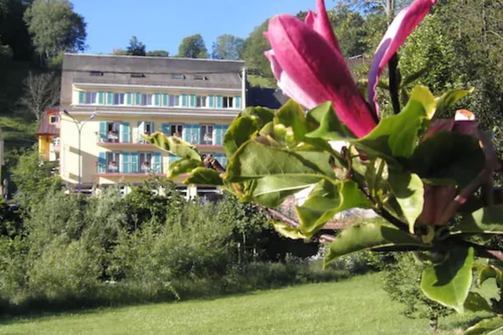 Hotel Restaurant Aux Bruyères in Orbey