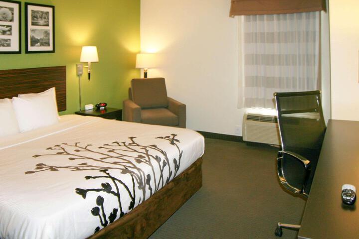 1 King Bed (8 of 11)