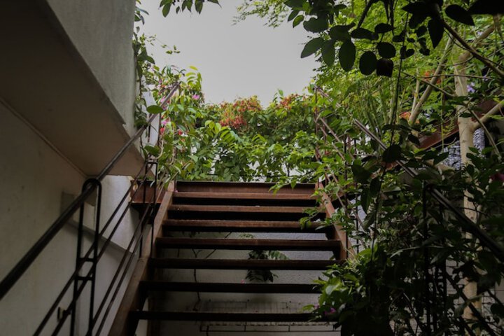 Property Grounds 56 of 64