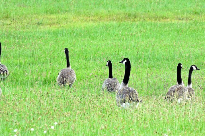 Property Grounds 33 of 42