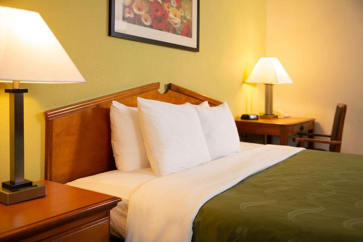 1 King Bed (15 of 19)