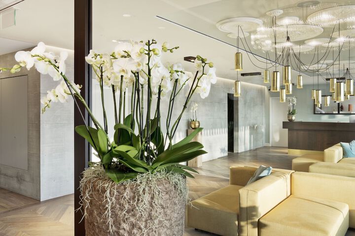 Lobby Entry
