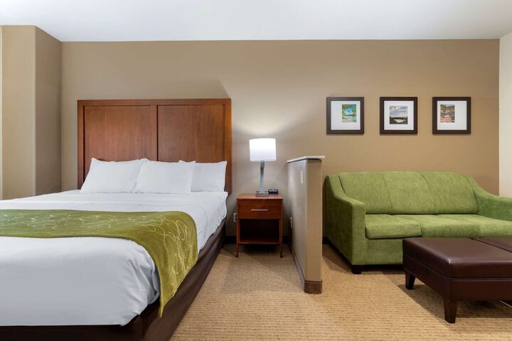 1 King Bed Suite (3 of 16)