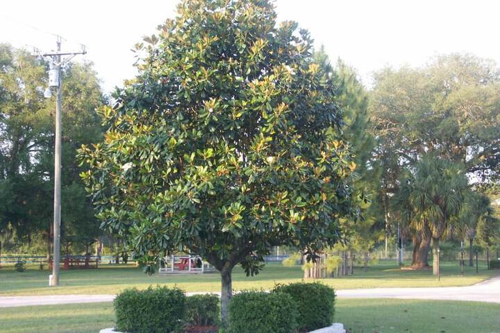 Property Grounds 21 of 26
