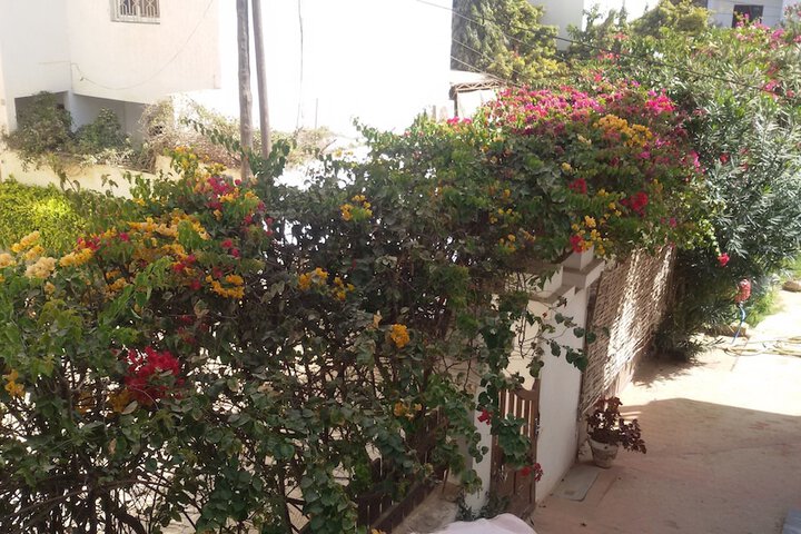 Terrace/Patio 22 of 42