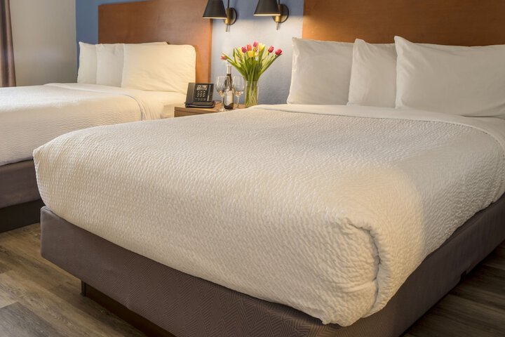 Pod Pacific 2 Double Beds (4 of 8)