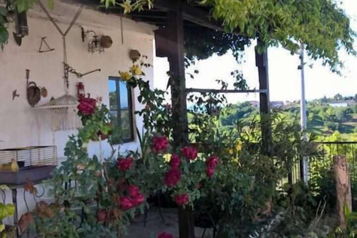 IL GRAPPOLO