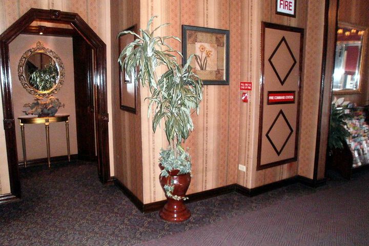 Photo 12