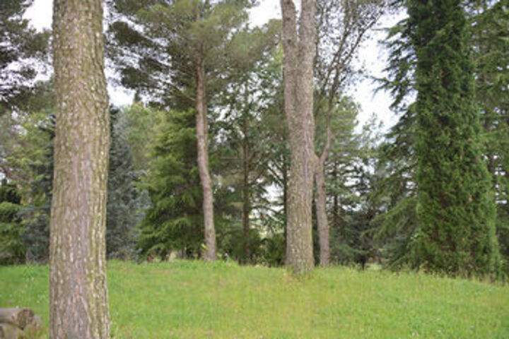 Property Grounds 63 of 76