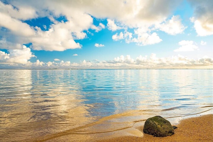 Beach 99 of 120