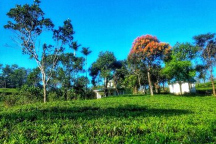 Property Grounds 30 of 49