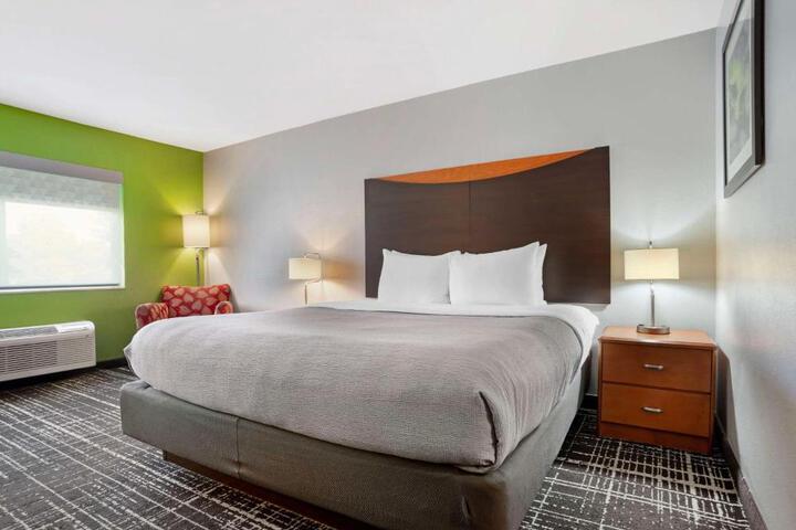 1 King Bed (3 of 19)