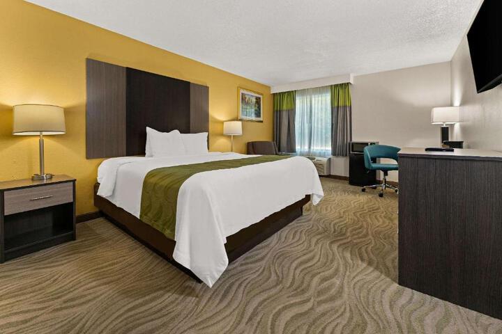 1 King Bed (6 of 12)