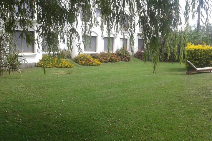General 17 of 53