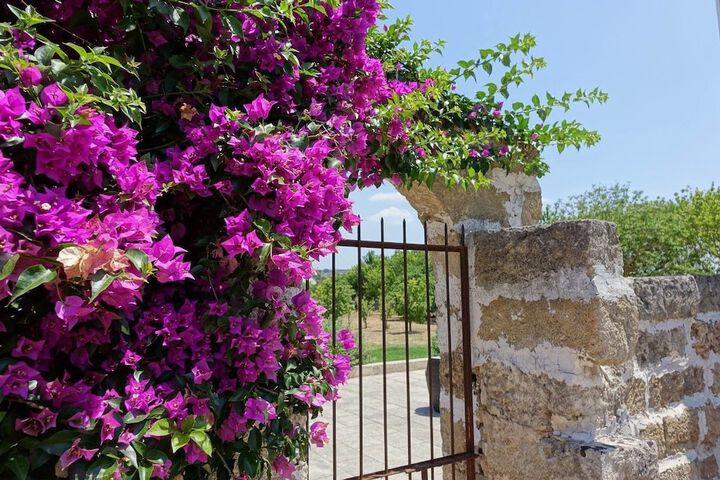 Outside Photo