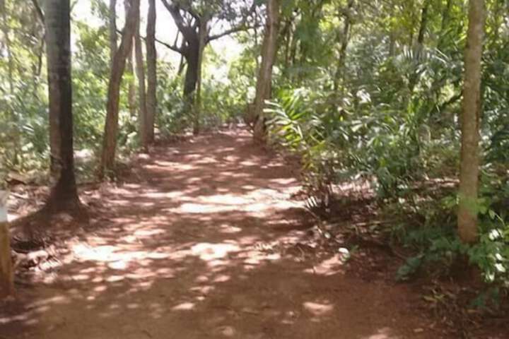 Outdoor Activities 9 of 27