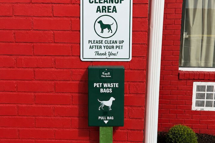 Pet-friendly