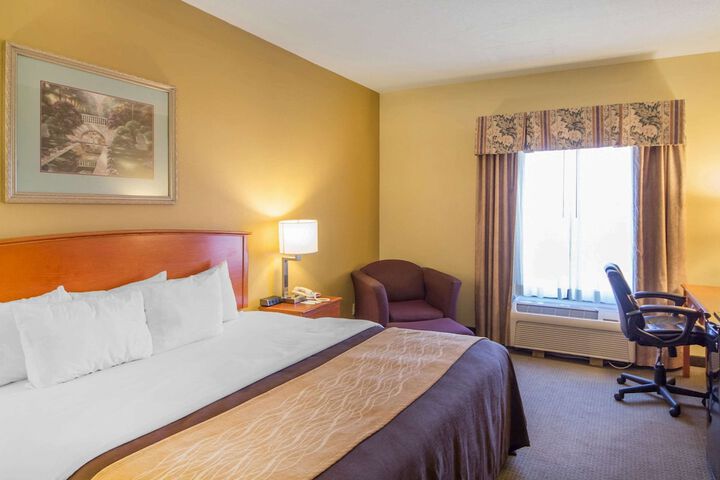 1 King Bed (2 of 8)