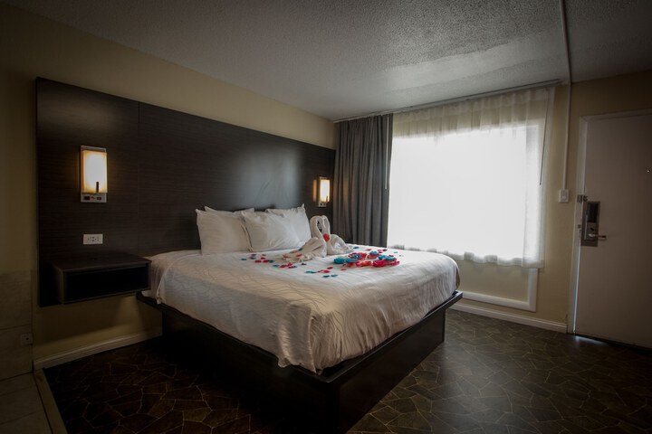 1 King Bed Pet Friendly Accessible (58 of 90)