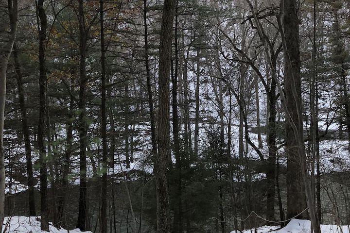 Outdoor Activities 10 of 20