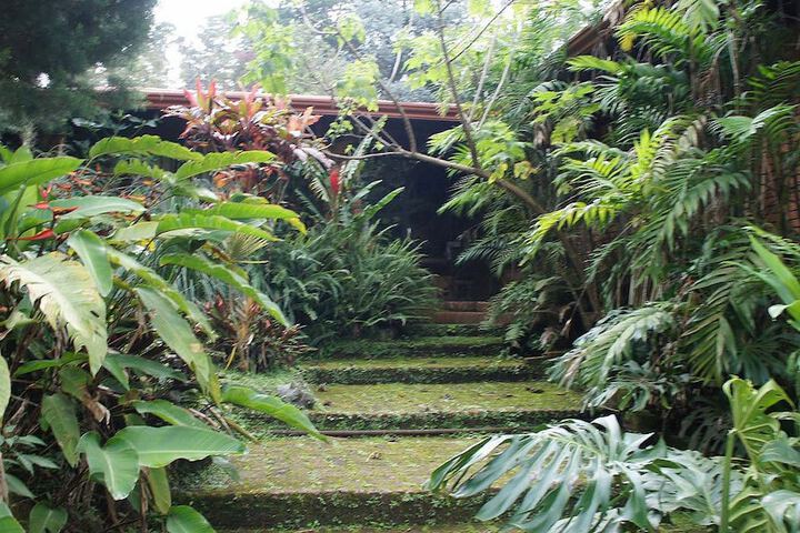 Property Grounds 28 of 63