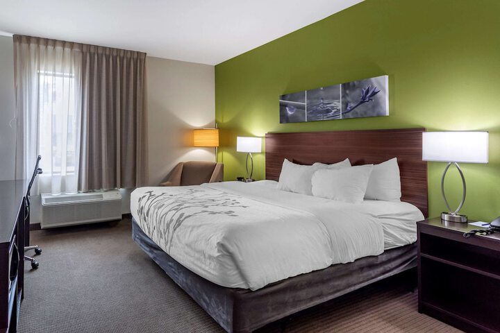 1 King Bed (13 of 13)