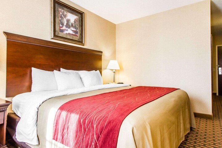 1 King Bed (10 of 14)