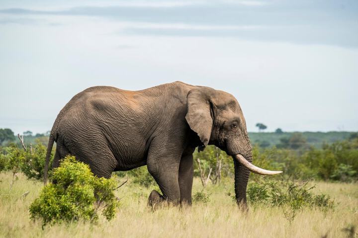 Health and Fitness 31 of 60