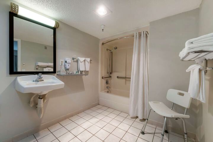 1 Queen Bed Accessible (13 of 16)