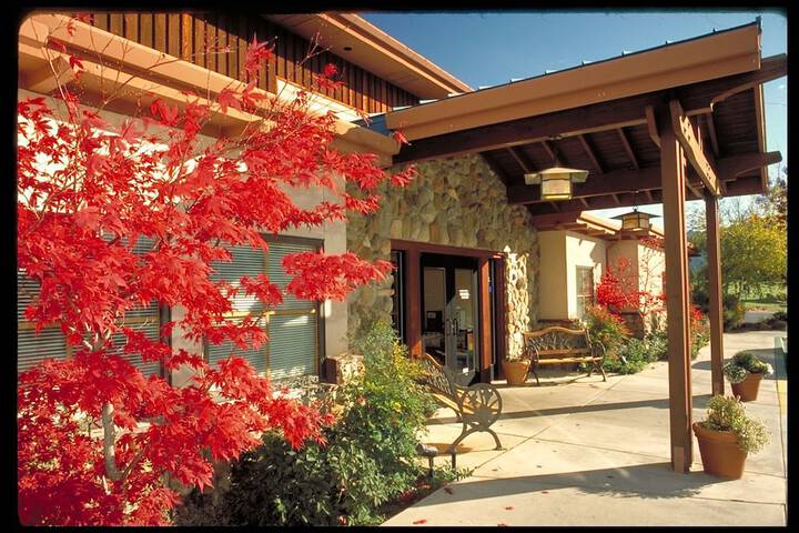 mt shasta hotels open