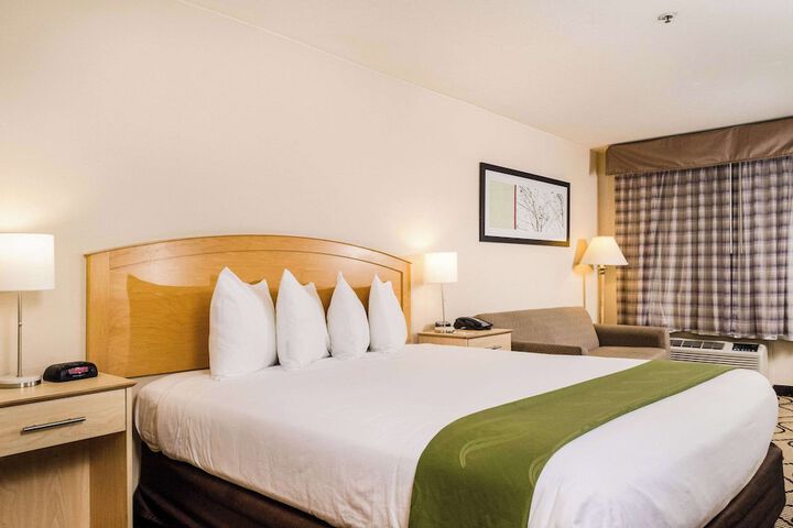 1 King Bed (3 of 9)