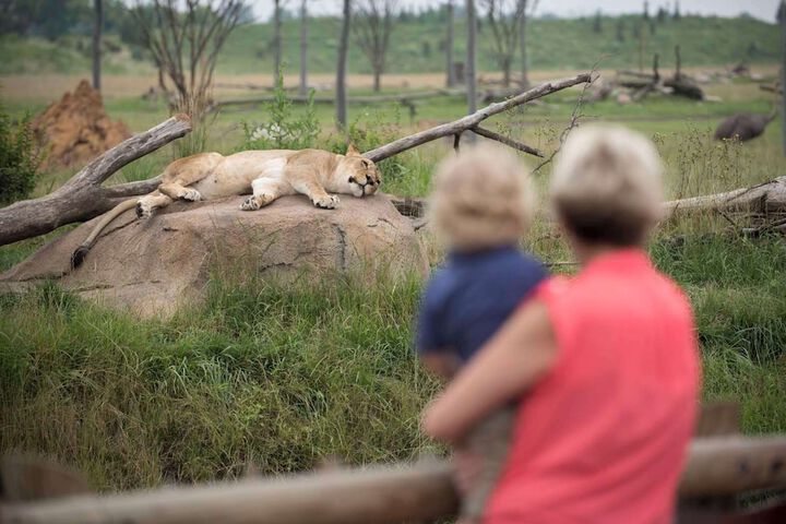 Childrens Activities 25 of 41