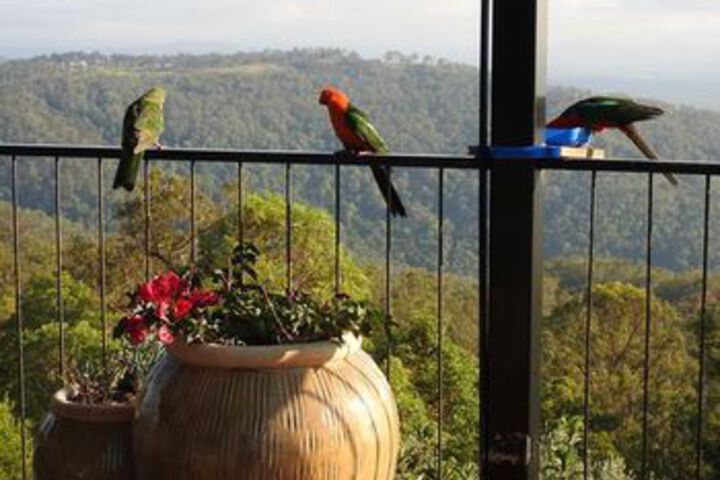 Terrace/Patio 2 of 22