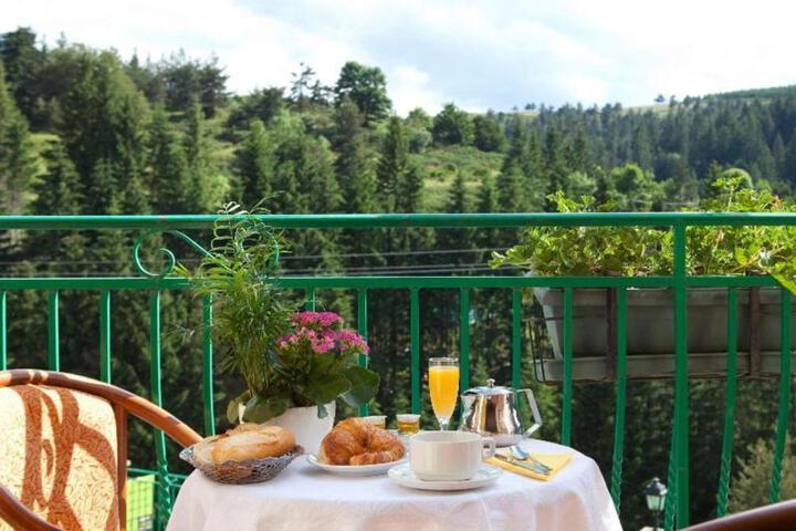 hotel des Sapins