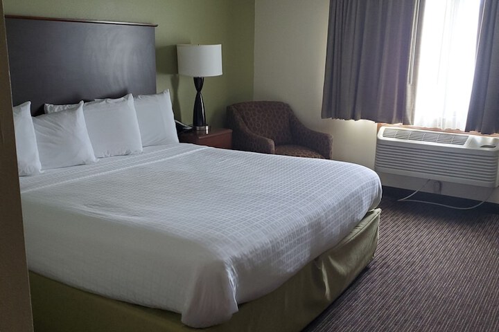 1 King Bed (3 of 8)