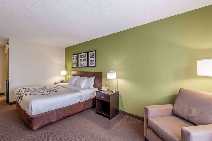 1 King Bed (3 of 9)