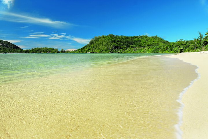Beach 220 of 307